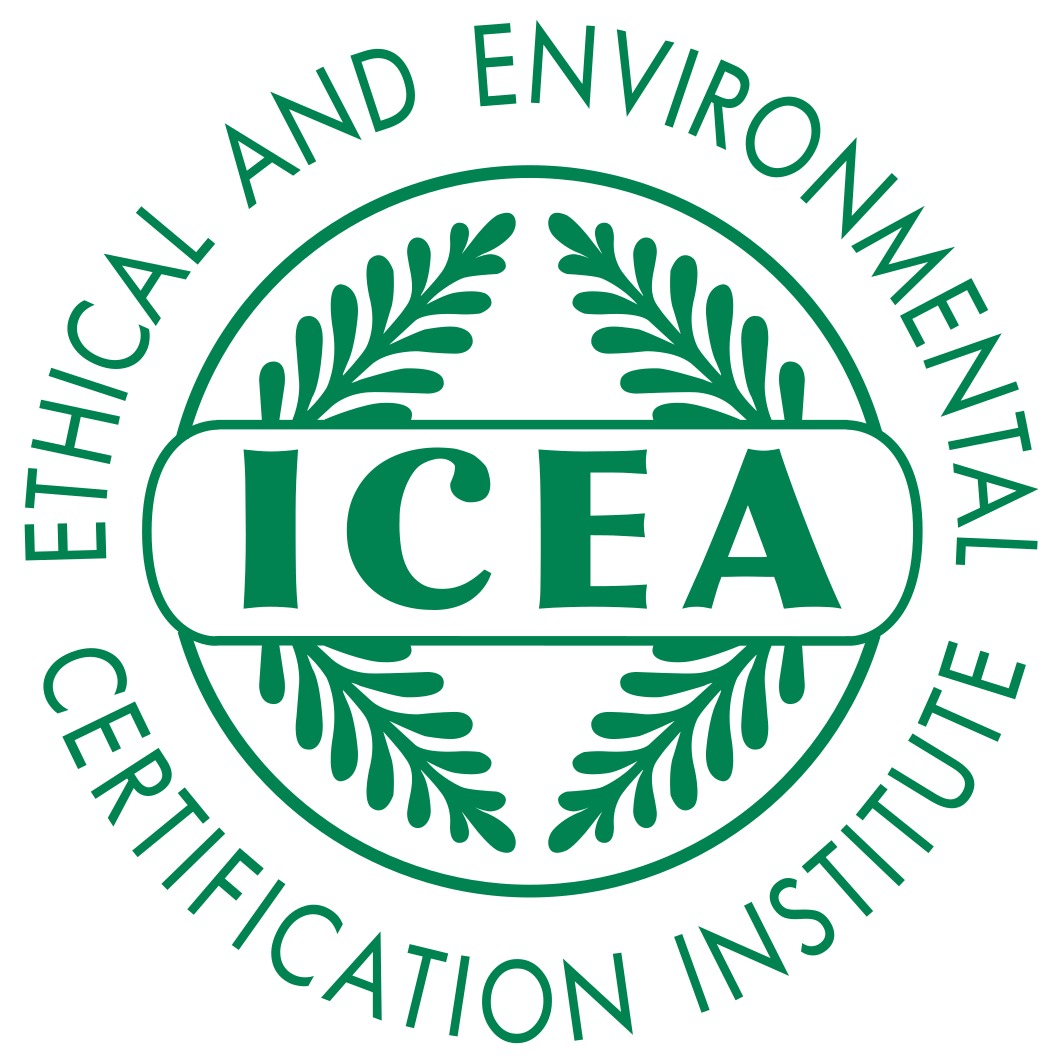 logo ICEA ENG