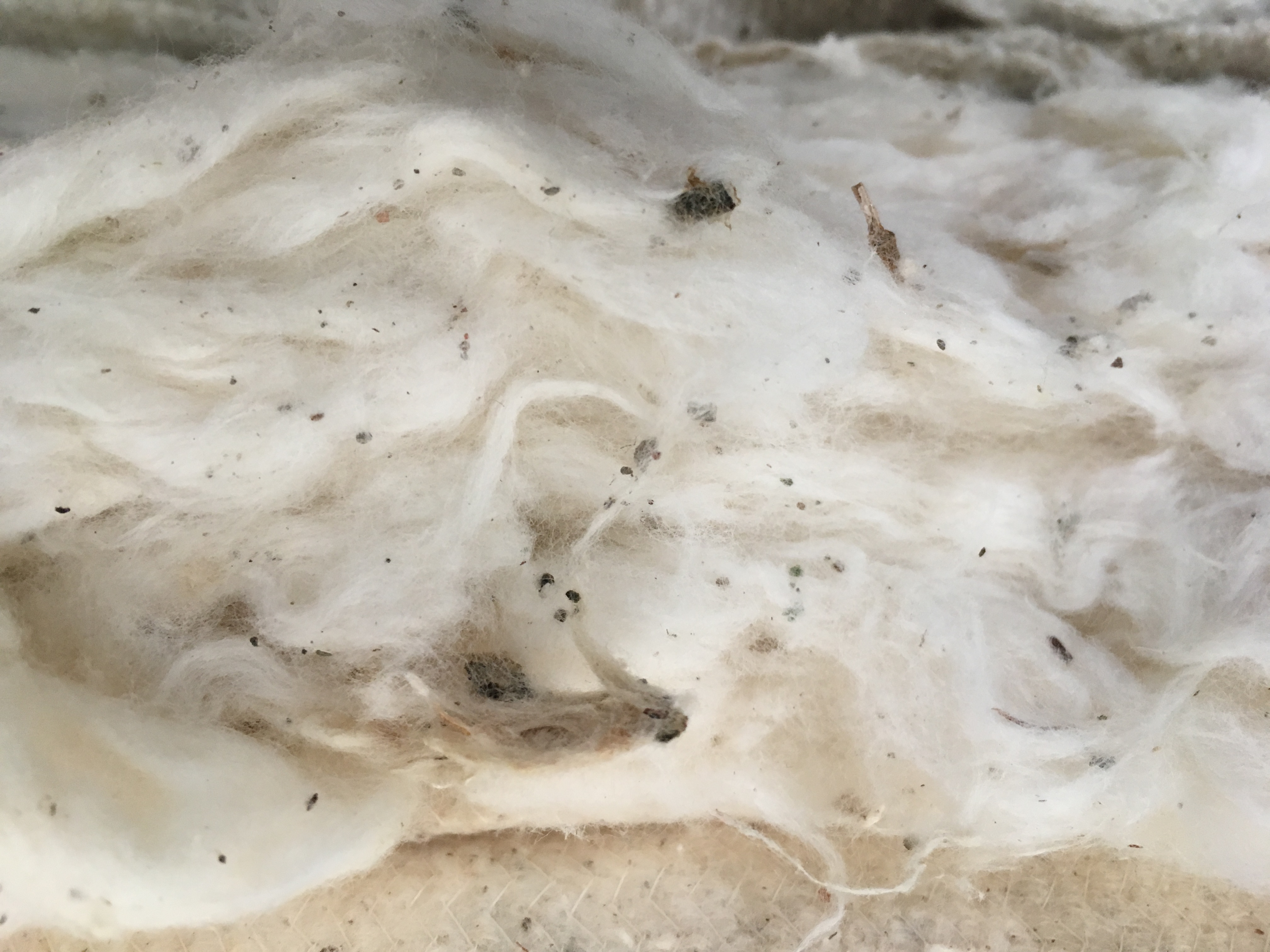 textile 3170004 1920 square